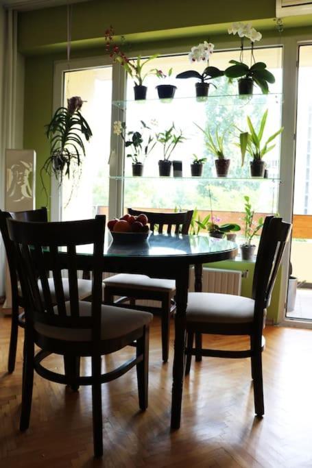 Beautiful Flat In Central Location By Flat Mаnager Sofia Exteriör bild