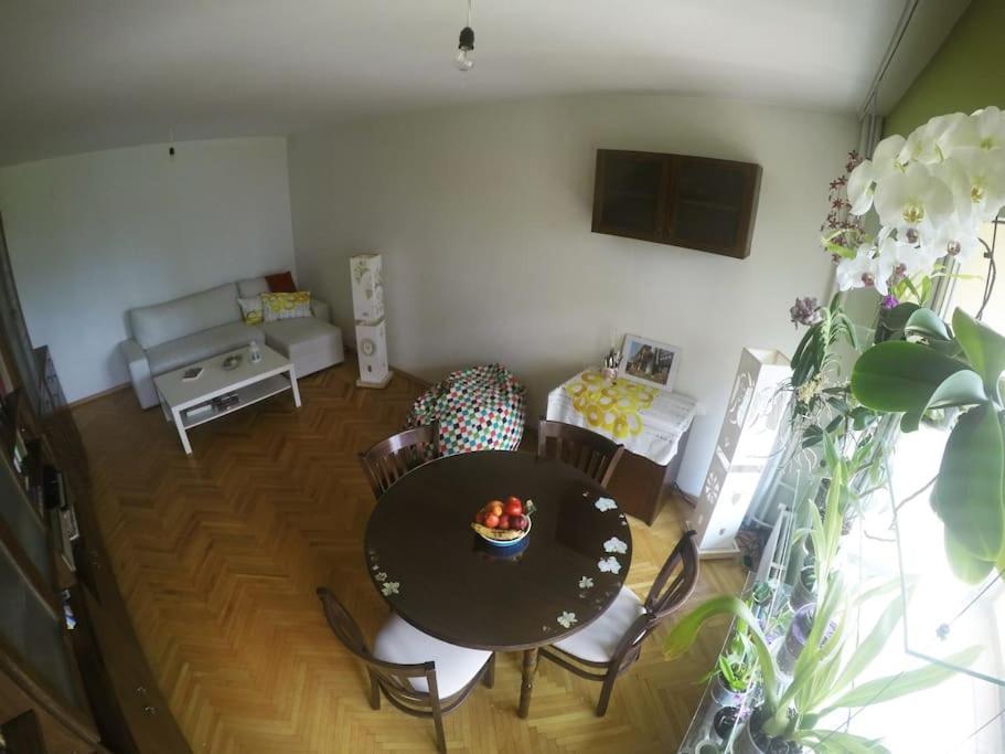 Beautiful Flat In Central Location By Flat Mаnager Sofia Exteriör bild